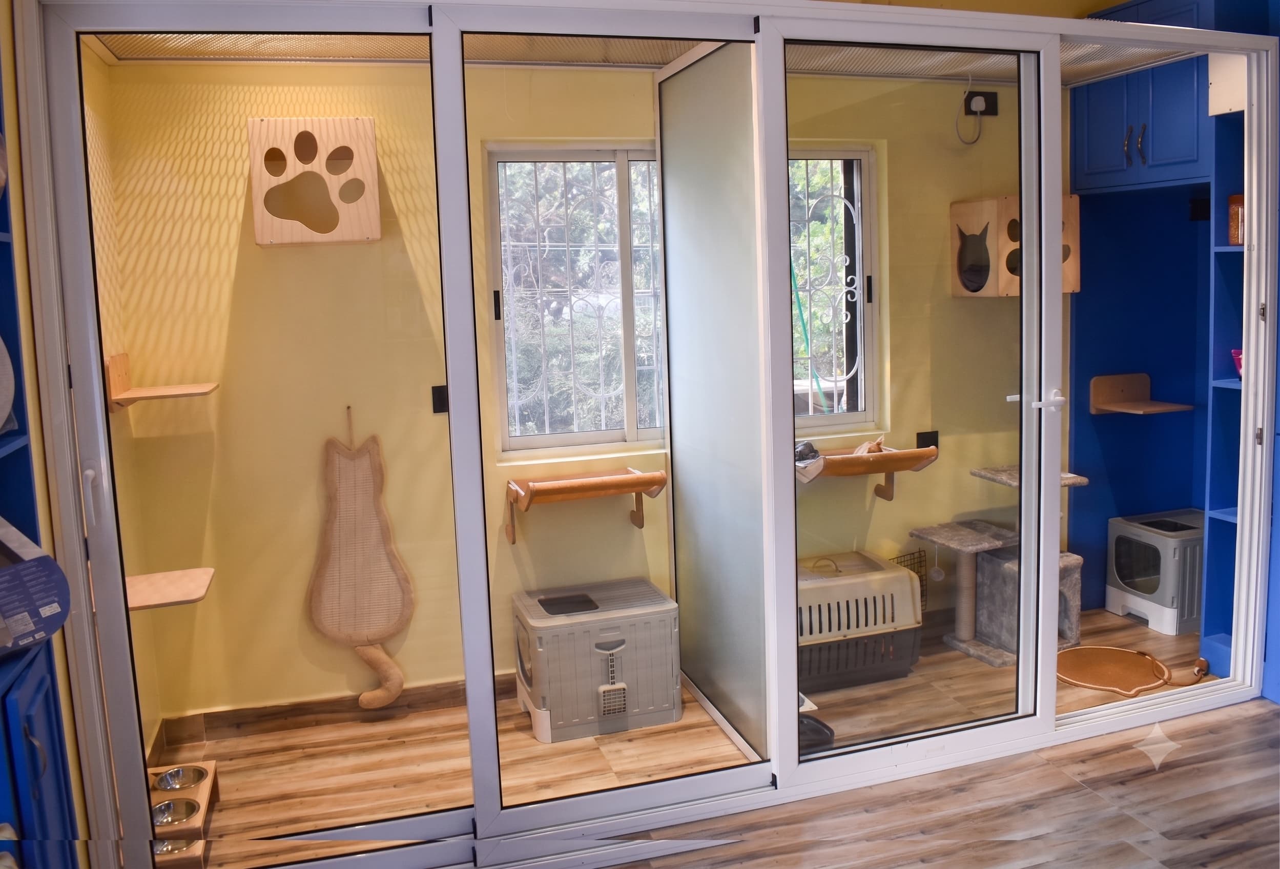 Cat boarding suites at Mostlyfur, with climbing shelves and window views