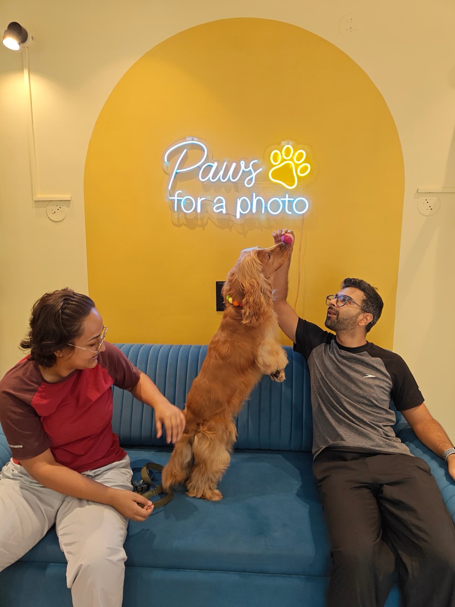 Paws for a photo